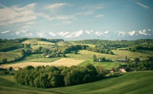Paysage vallonné et verdoyant de la campagne du Gers avec les montagnes des Pyrénées enneigées en arrière-plan.